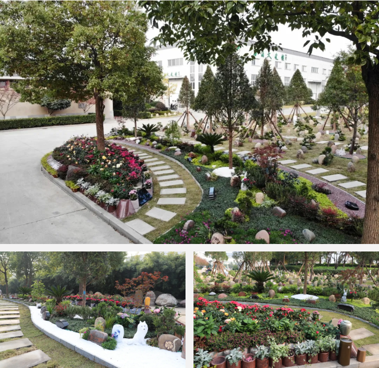 壹号娱乐 - NG大舞台,有梦你就来