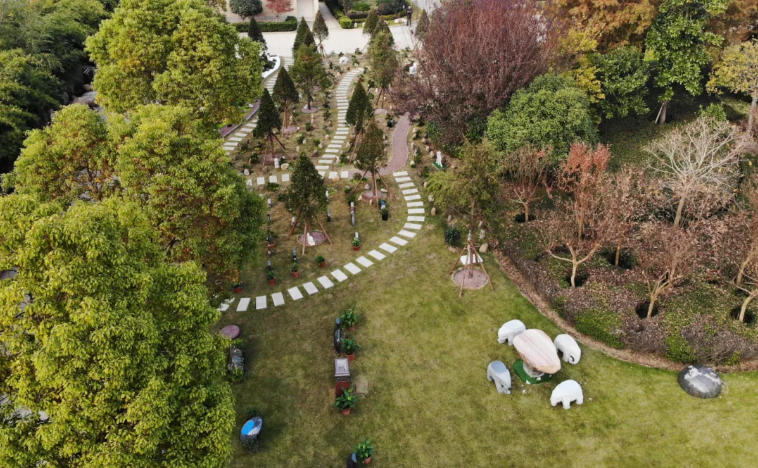 壹号娱乐 - NG大舞台,有梦你就来