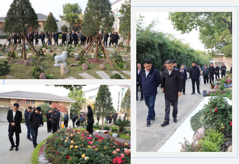 壹号娱乐 - NG大舞台,有梦你就来