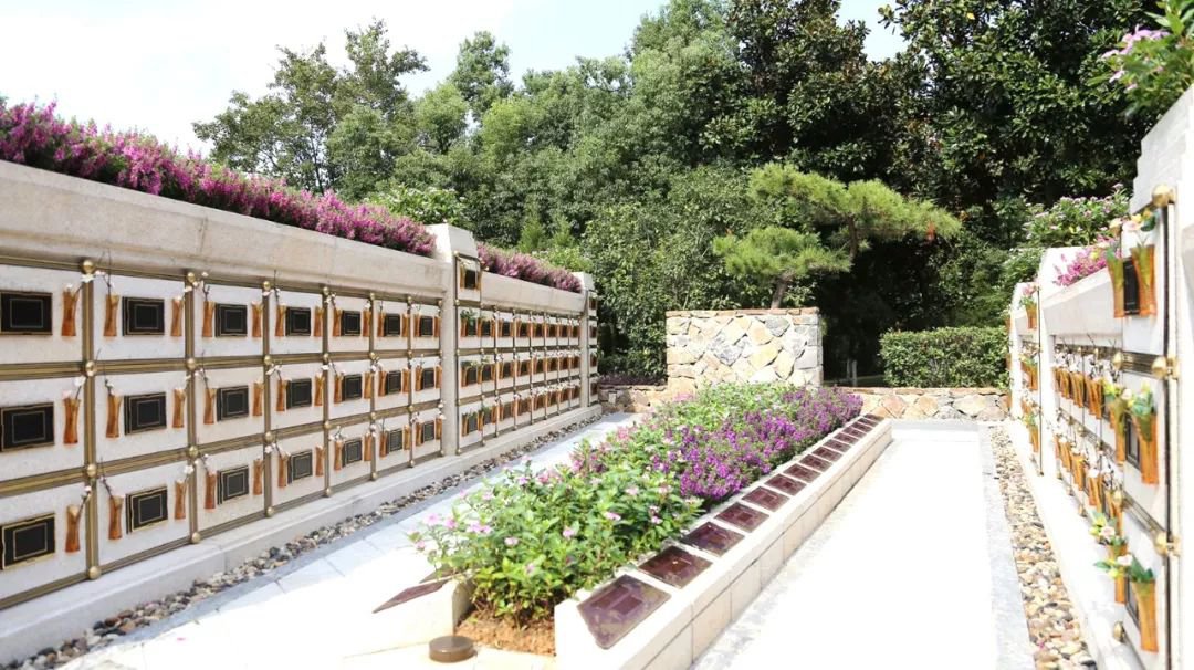 <b>在合肥大蜀山文化陵寝，与性命温顺对话</b>