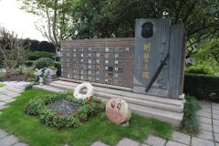 致敬“安然卫士”，铭刻“刑警之魂”