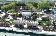 方寸之间，艺术与天然共舞