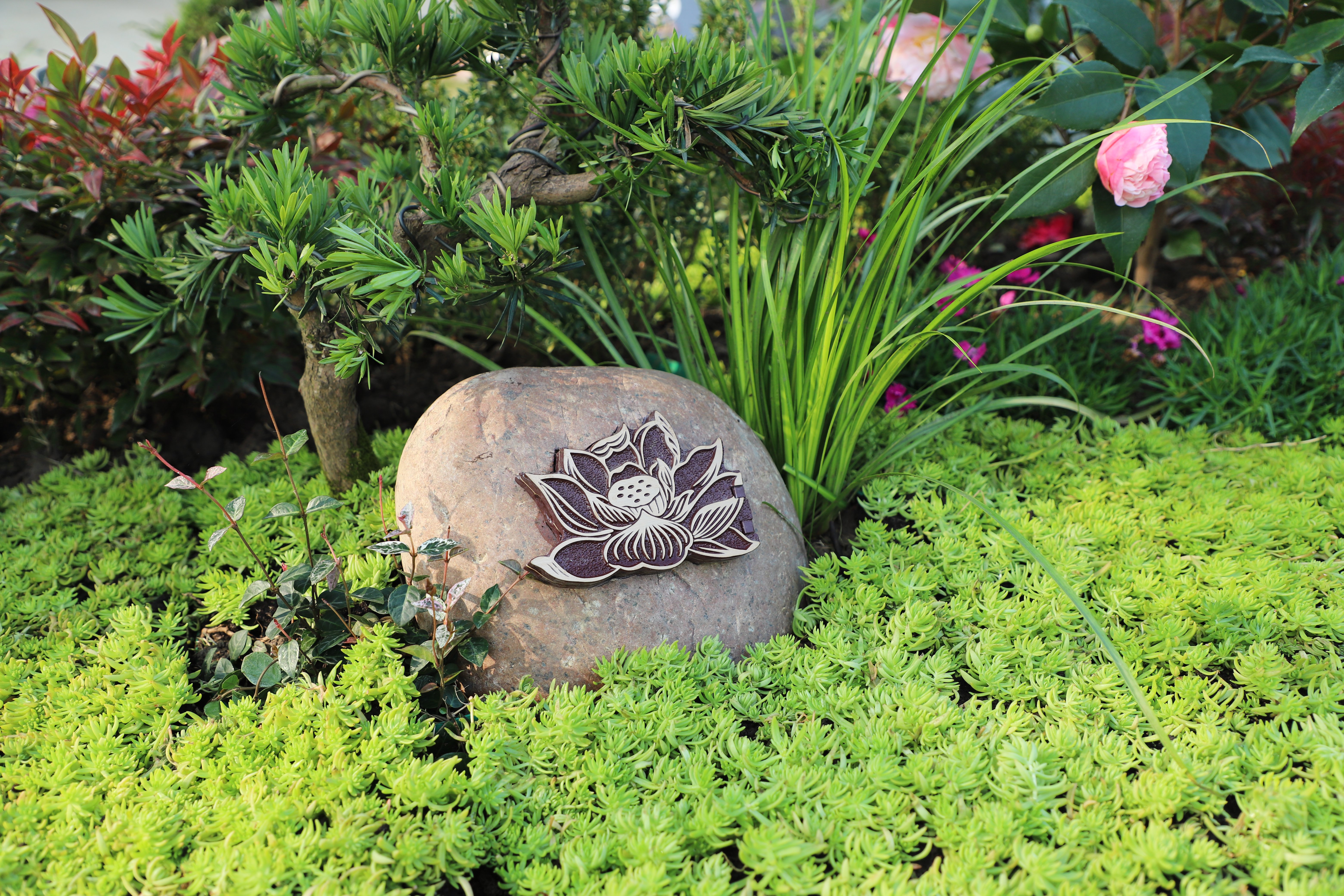 壹号娱乐 - NG大舞台,有梦你就来