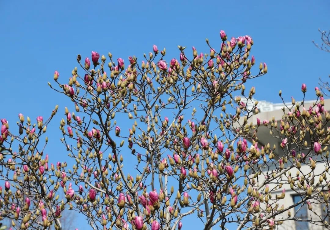 壹号娱乐 - NG大舞台,有梦你就来