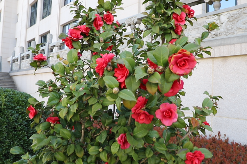 壹号娱乐 - NG大舞台,有梦你就来