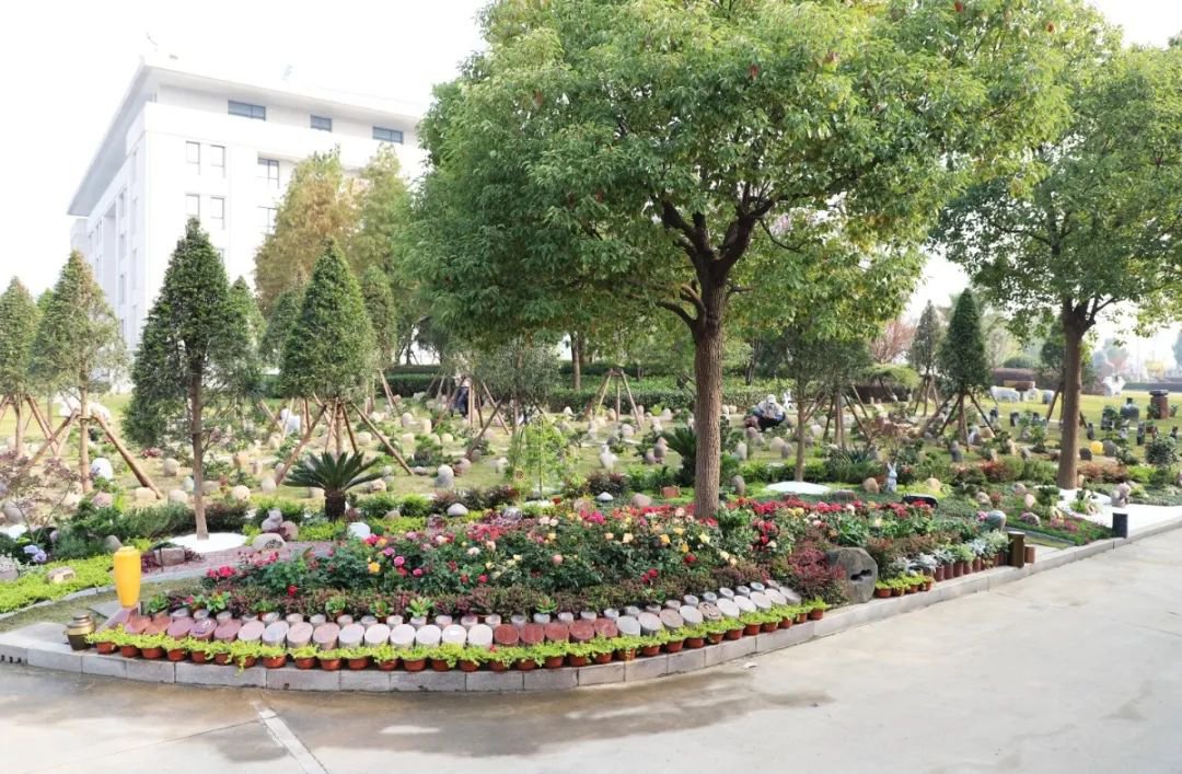 壹号娱乐 - NG大舞台,有梦你就来