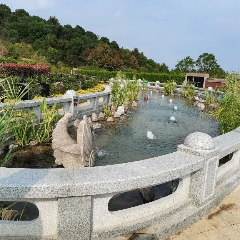 壹号娱乐 - NG大舞台,有梦你就来