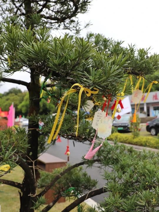 壹号娱乐 - NG大舞台,有梦你就来