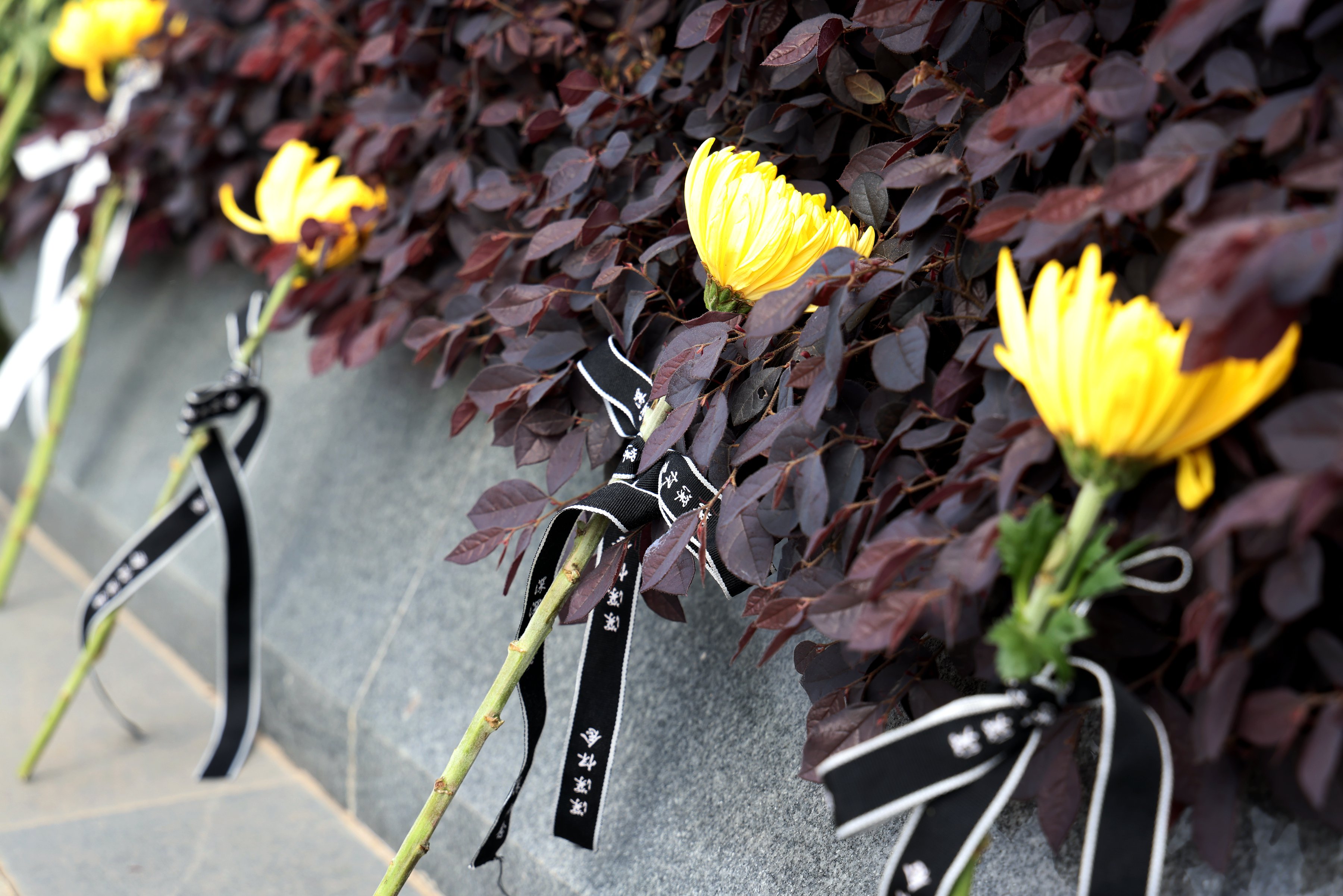 壹号娱乐 - NG大舞台,有梦你就来