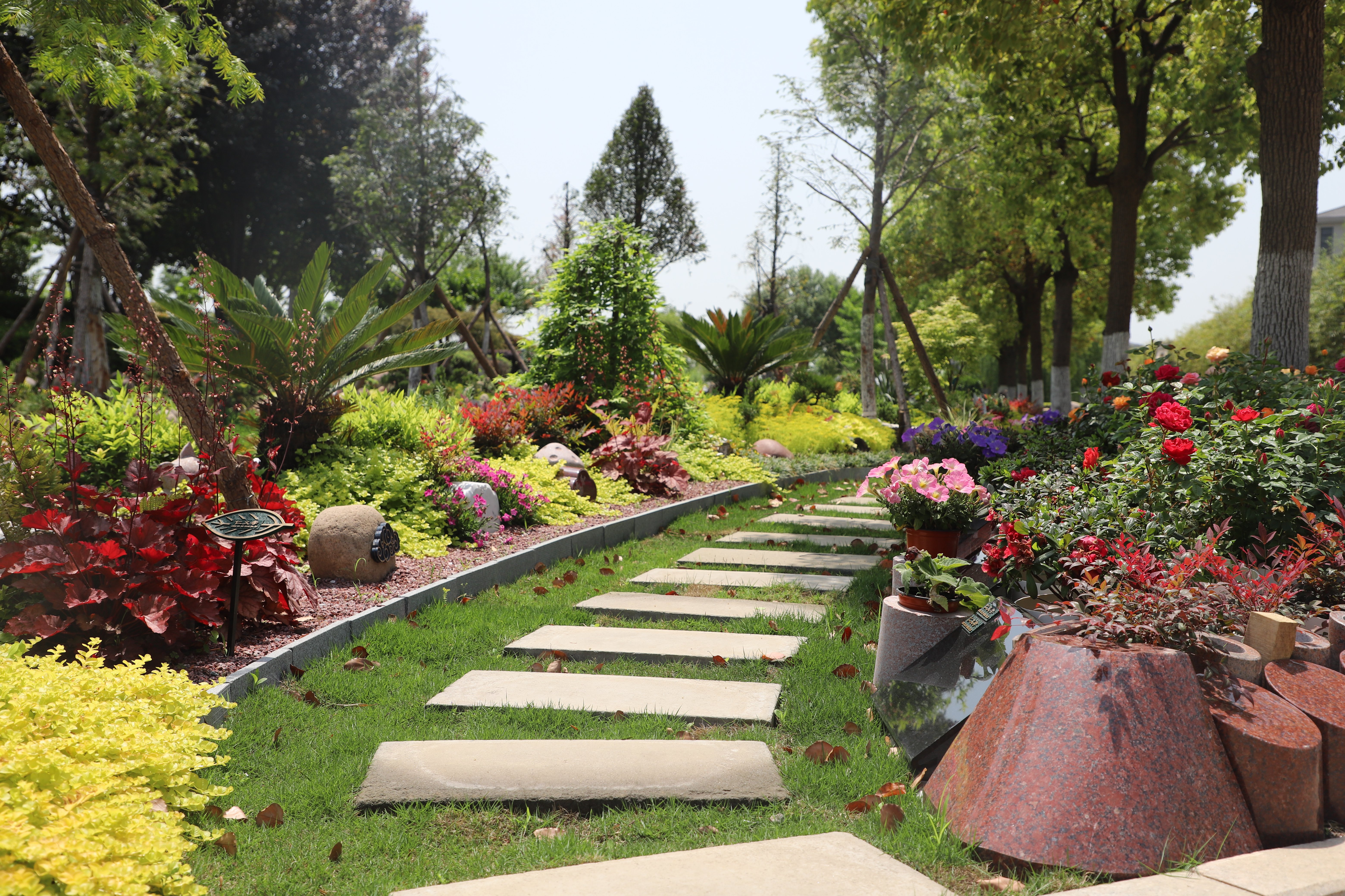 壹号娱乐 - NG大舞台,有梦你就来