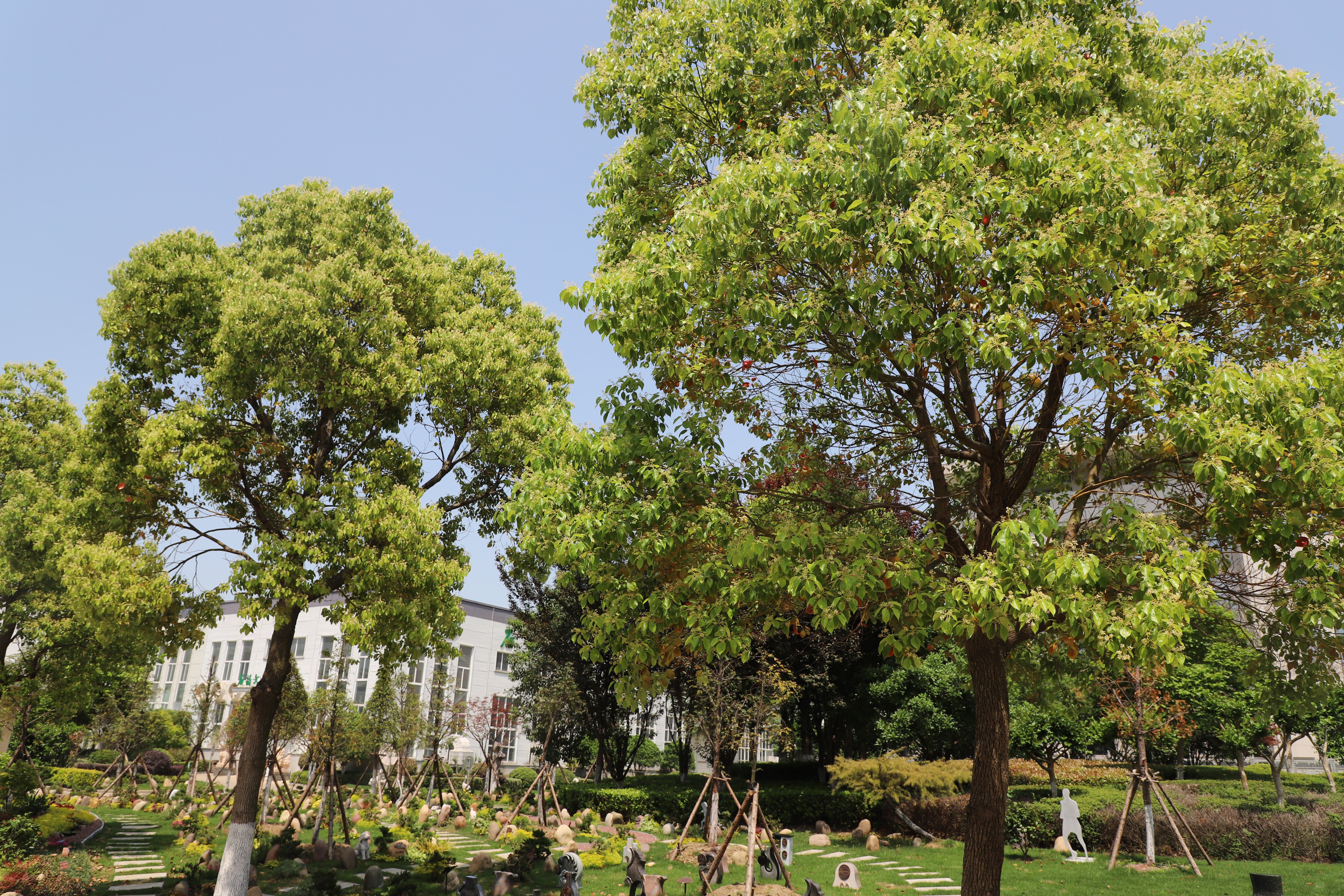 壹号娱乐 - NG大舞台,有梦你就来