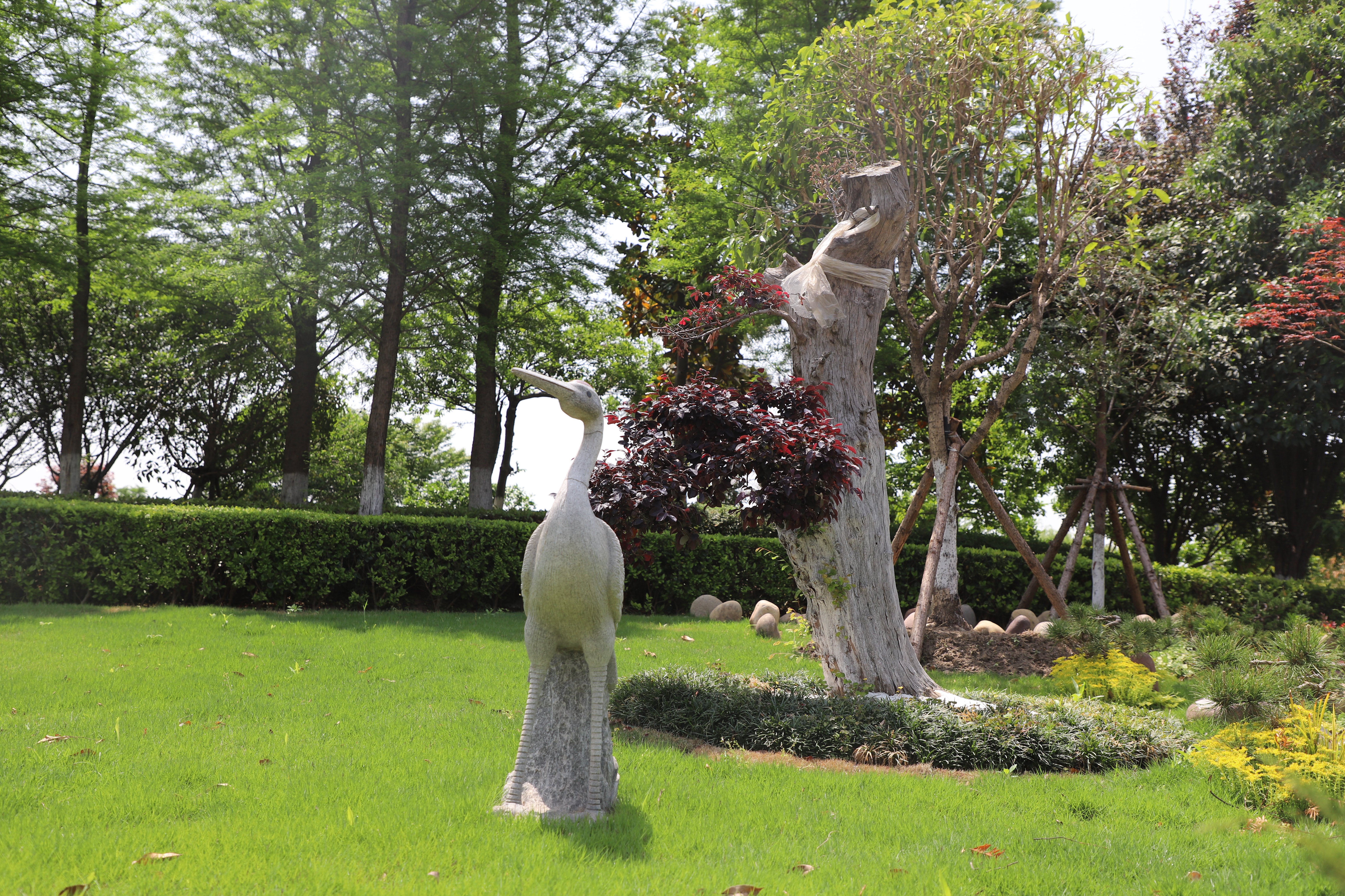 壹号娱乐 - NG大舞台,有梦你就来