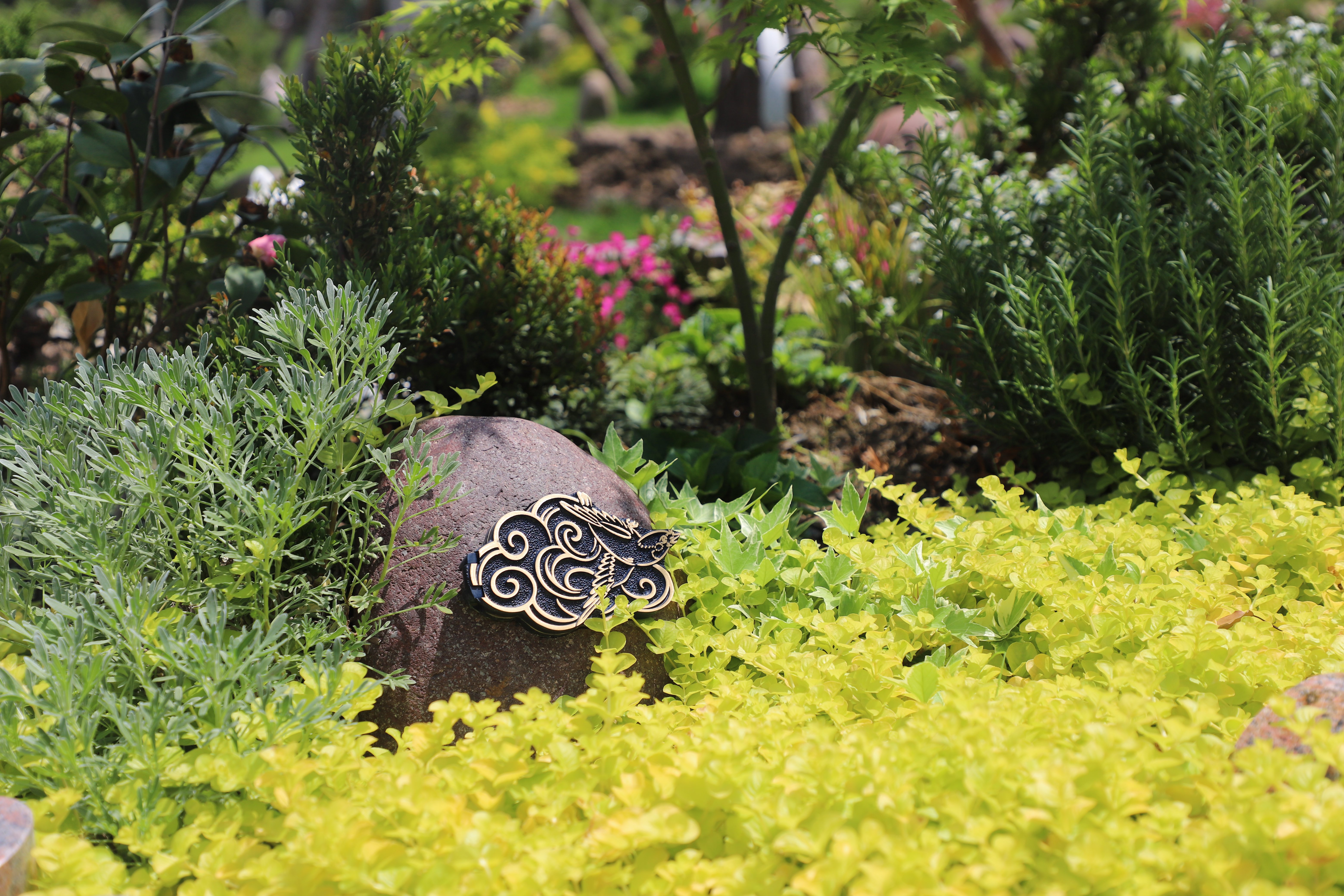 壹号娱乐 - NG大舞台,有梦你就来