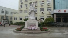 石雕匠心，镌刻医者风华