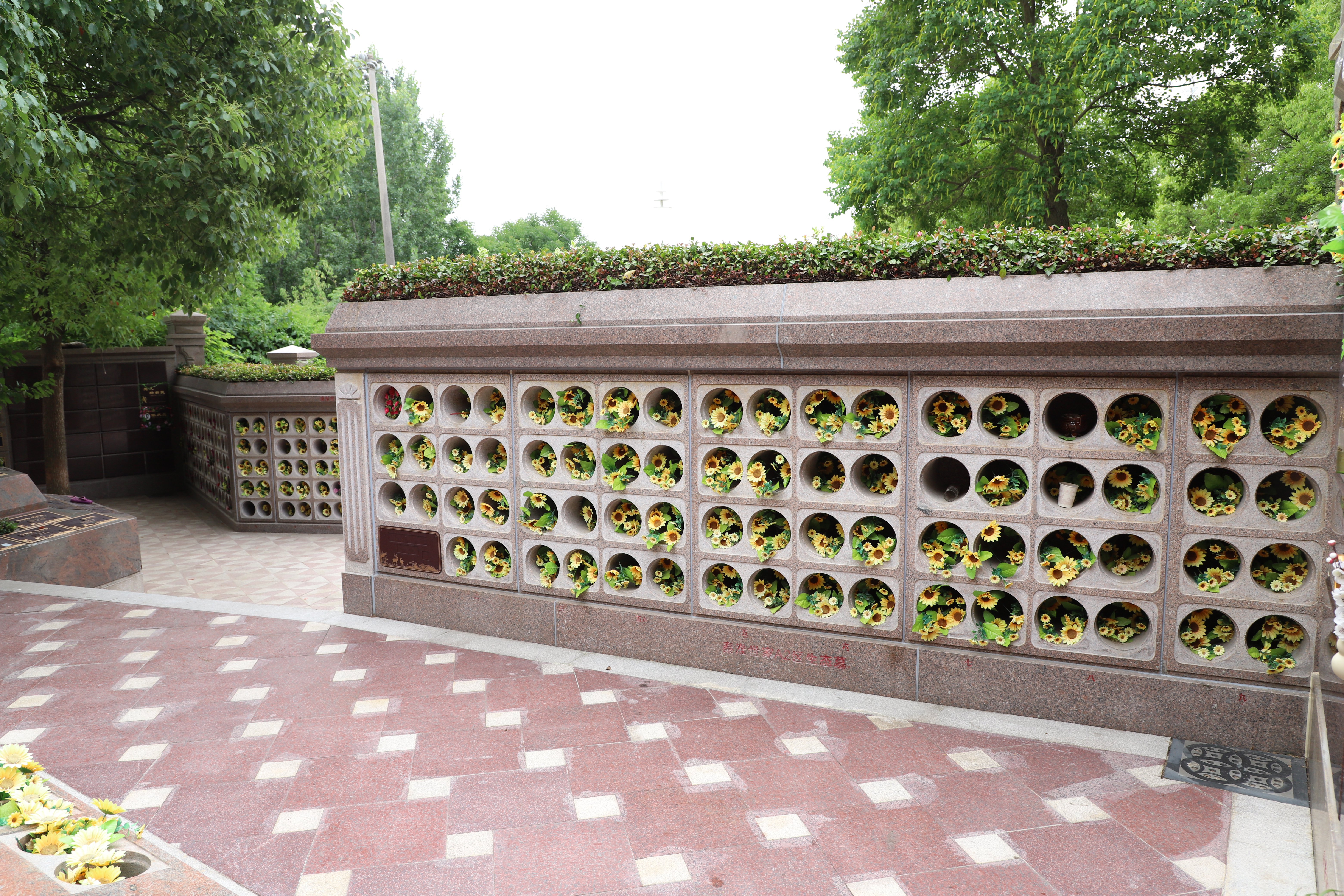 壹号娱乐 - NG大舞台,有梦你就来