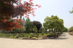 归于林下：一场与天然的温顺沉逢