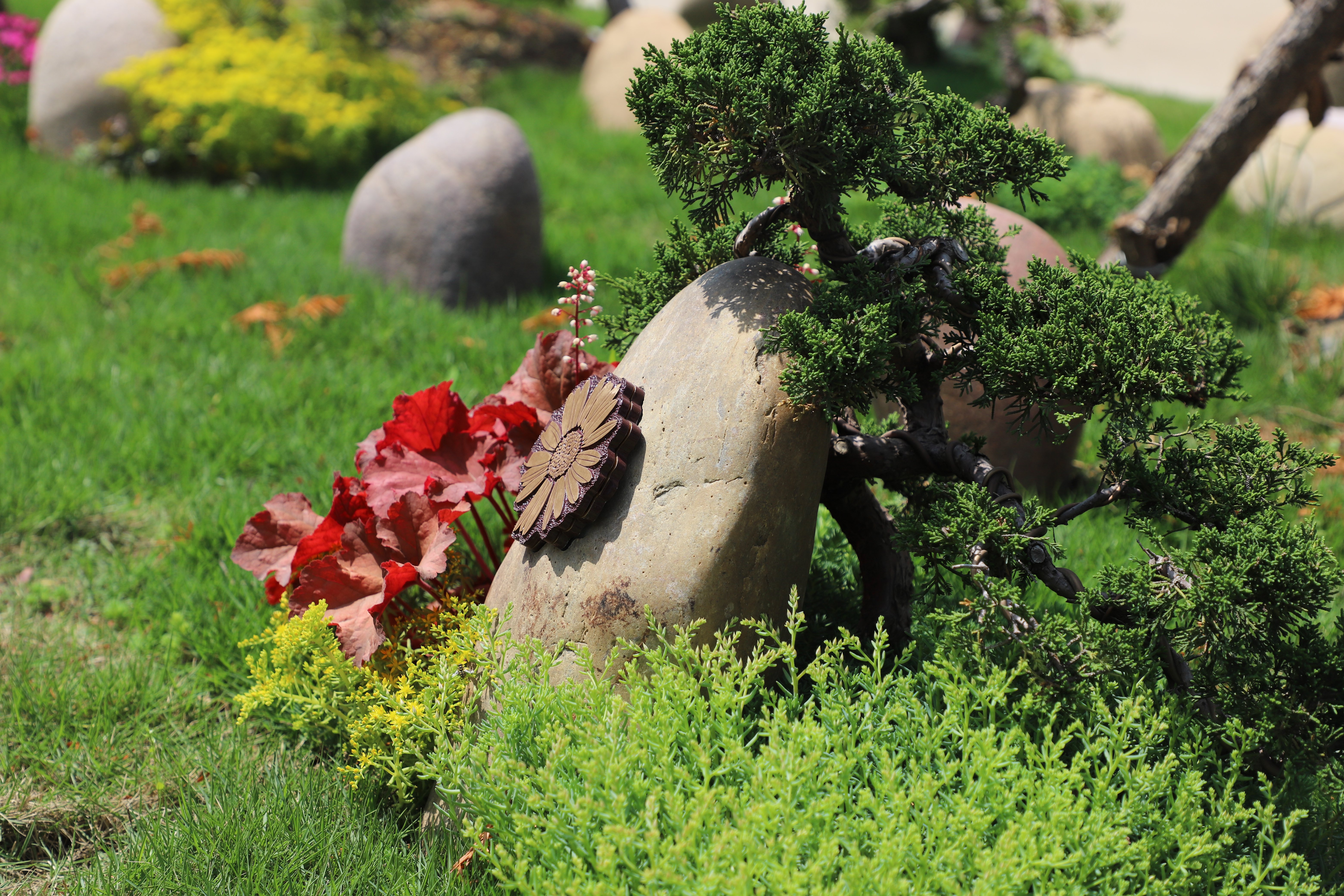 壹号娱乐 - NG大舞台,有梦你就来