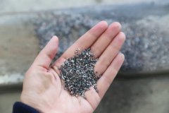 石语新章：仿真；は渲械纳舻下