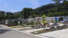 生态葬，让性命在绿意中永恒