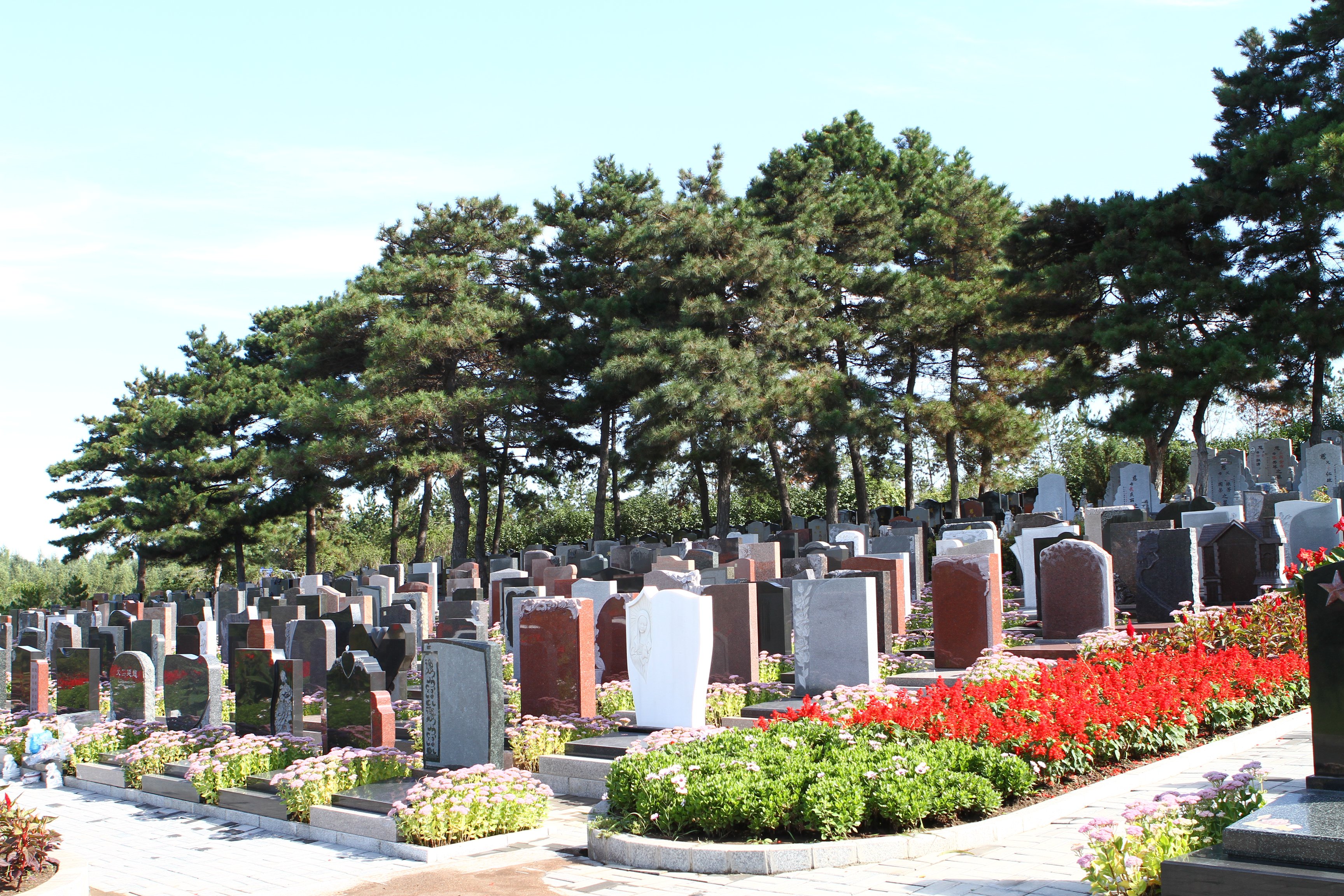 壹号娱乐 - NG大舞台,有梦你就来