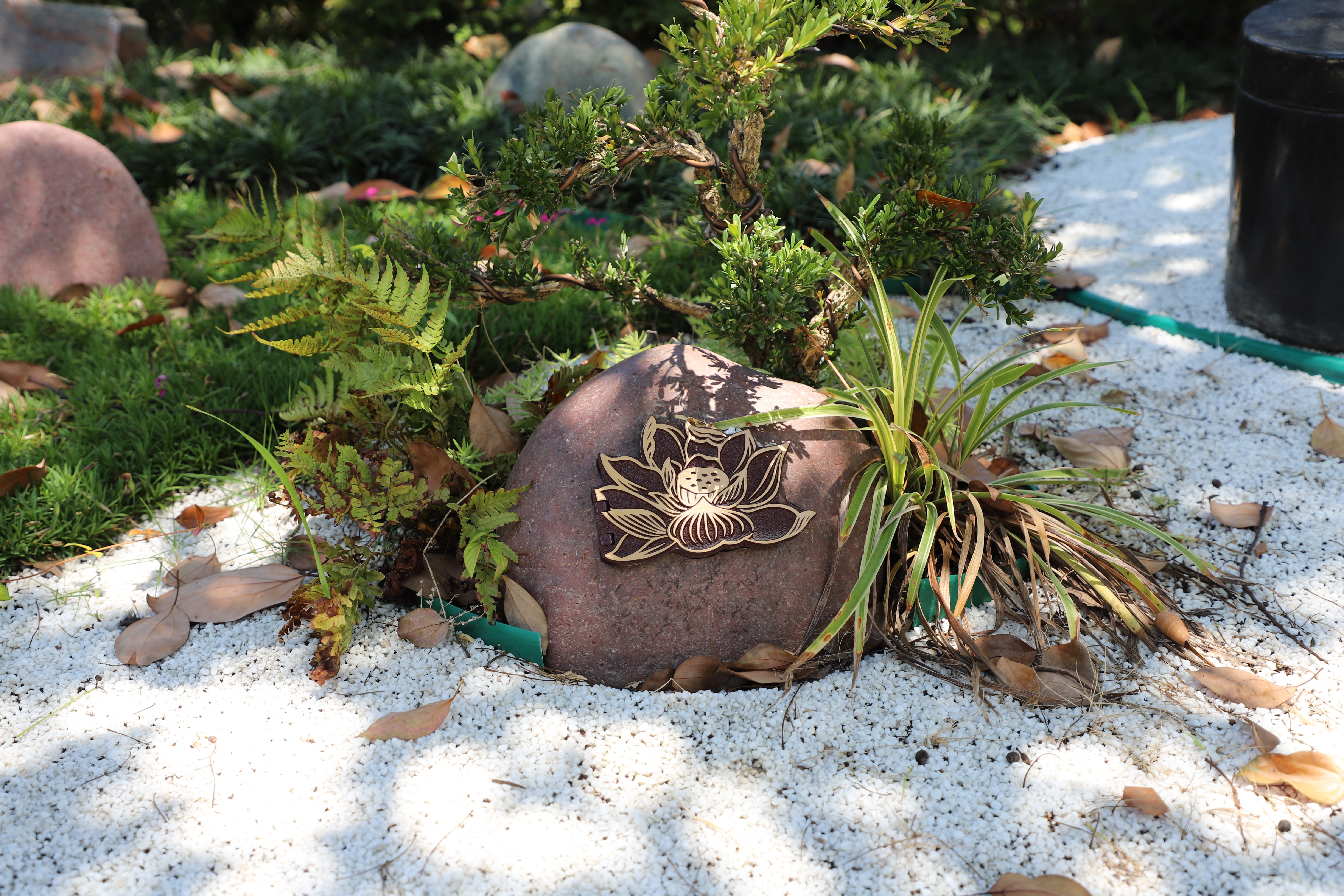 壹号娱乐 - NG大舞台,有梦你就来