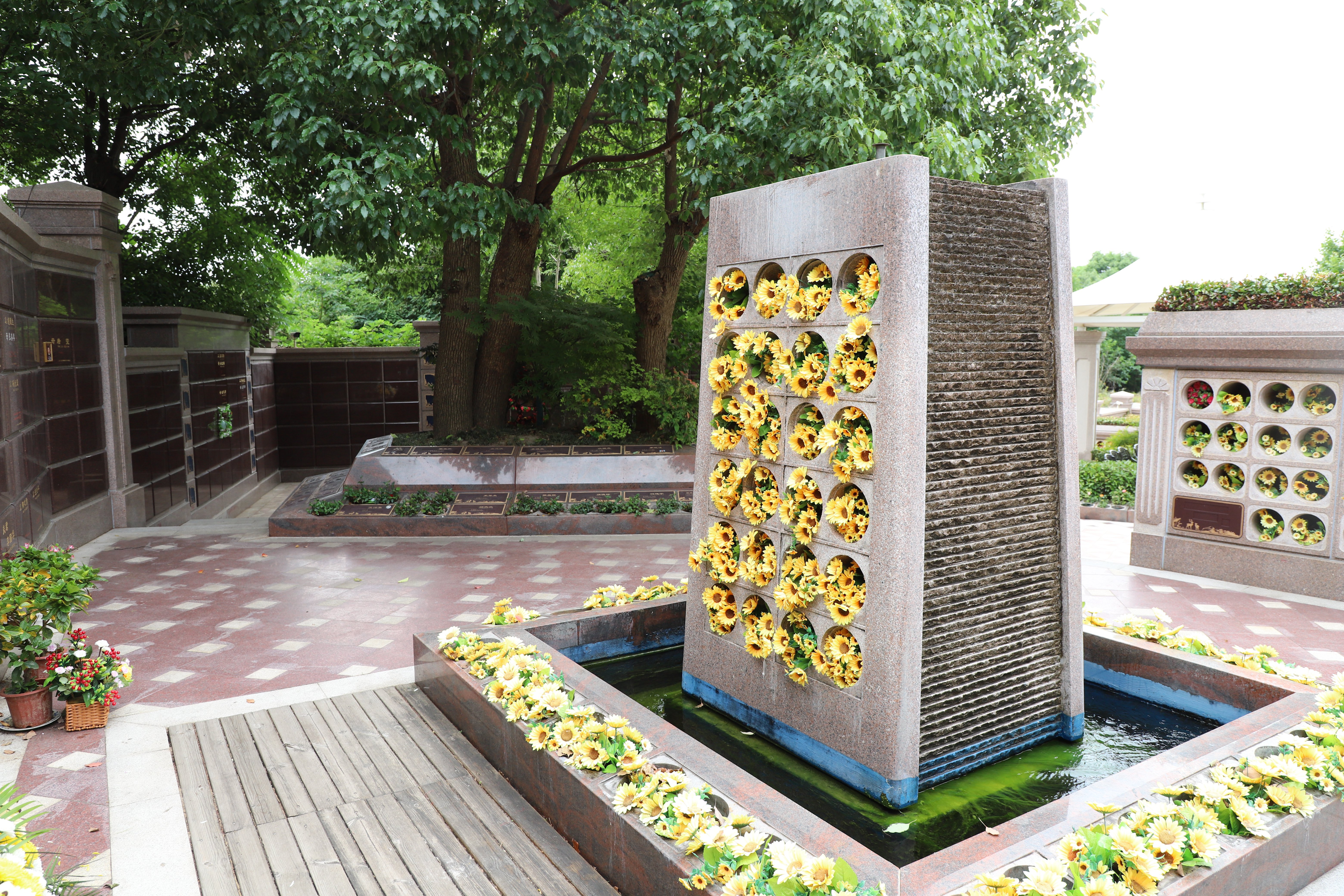 壹号娱乐 - NG大舞台,有梦你就来