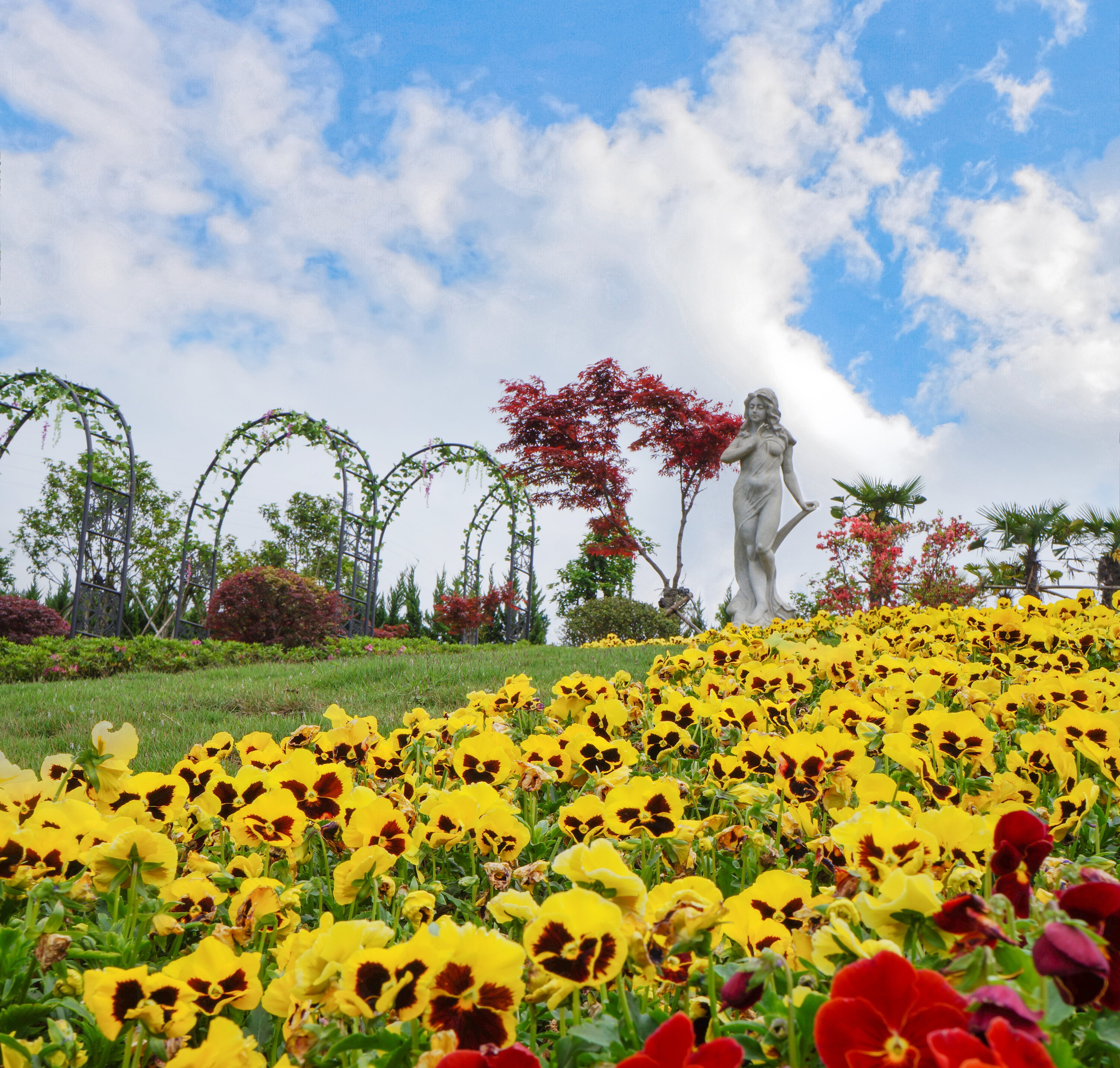 壹号娱乐 - NG大舞台,有梦你就来