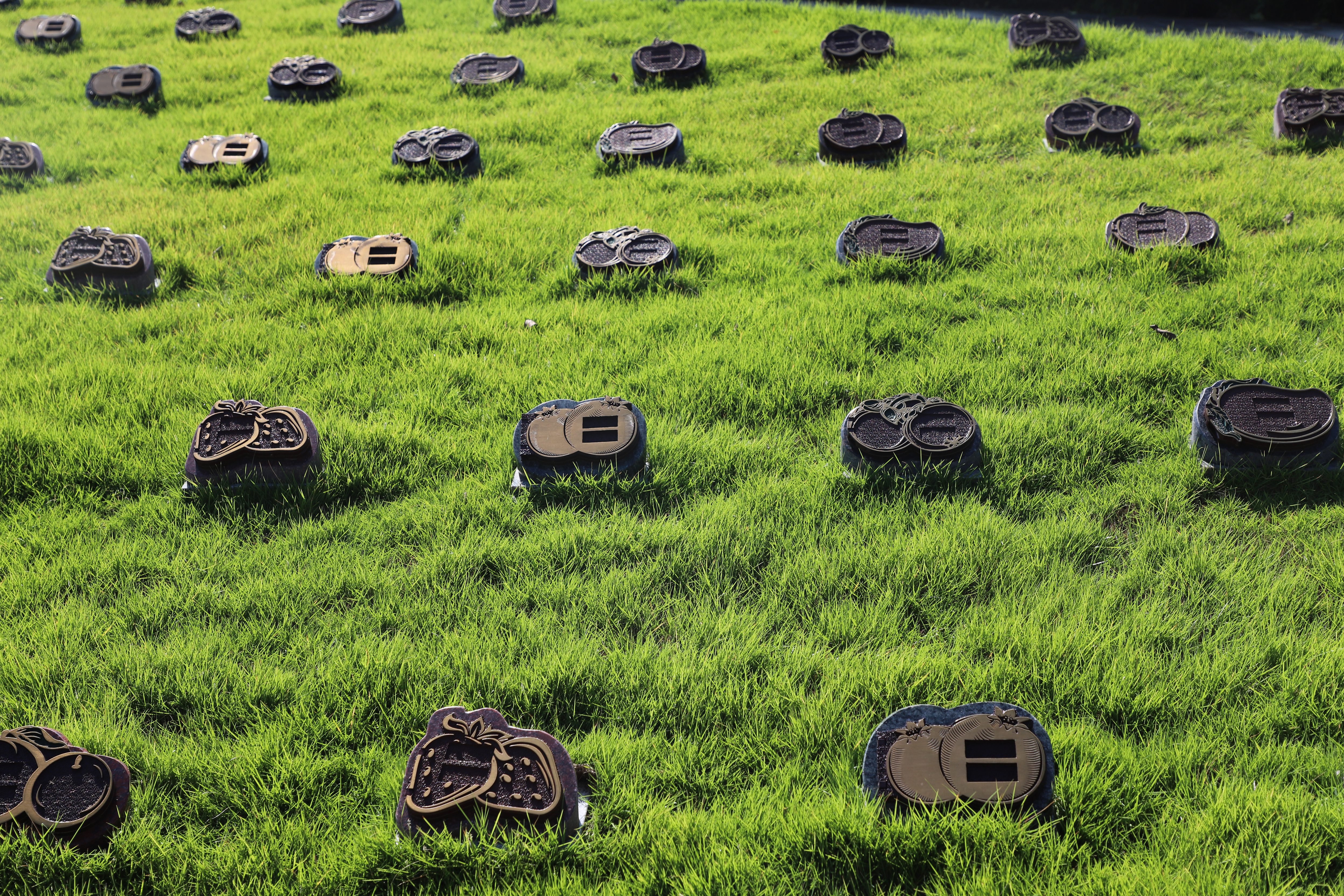 壹号娱乐 - NG大舞台,有梦你就来