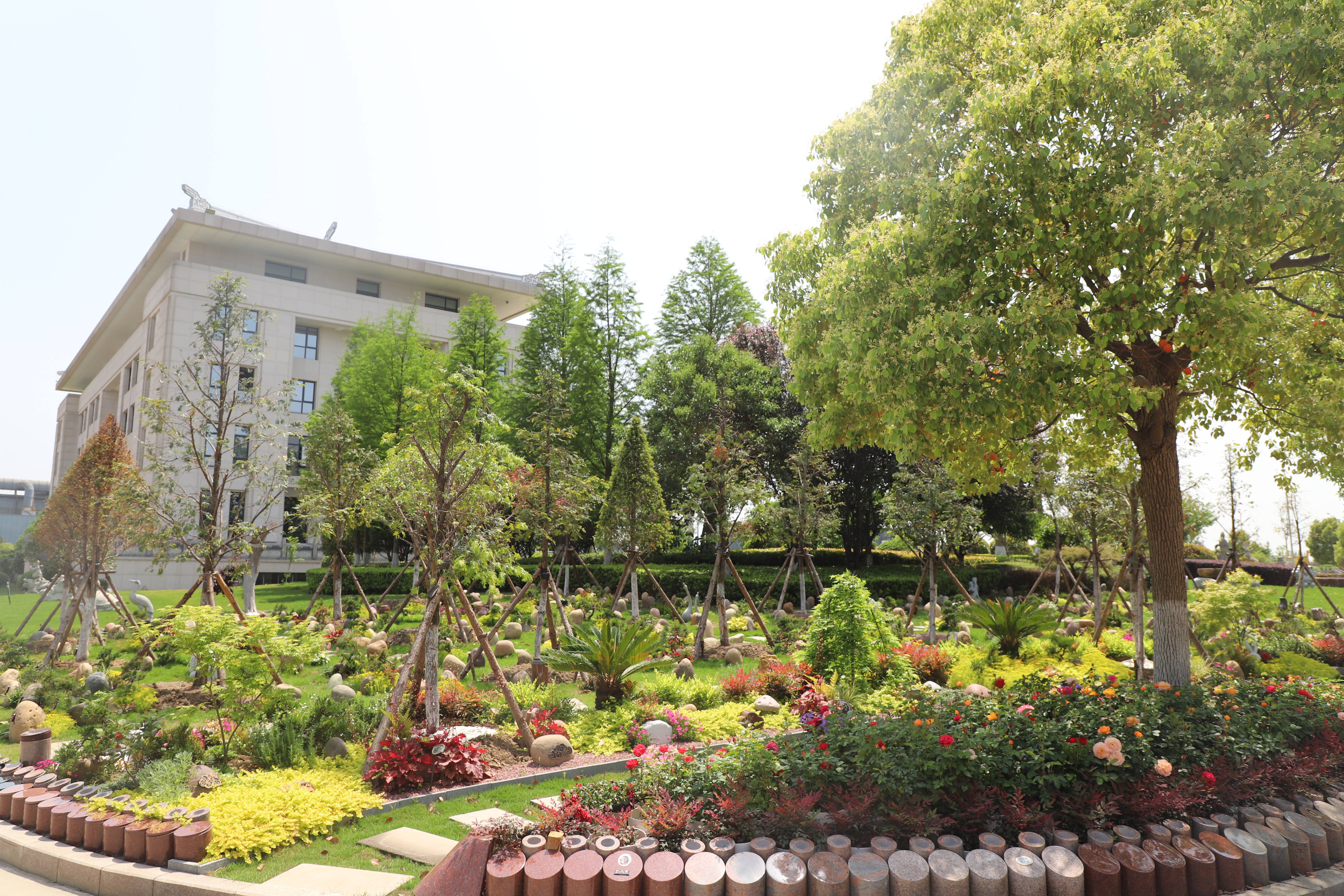 壹号娱乐 - NG大舞台,有梦你就来