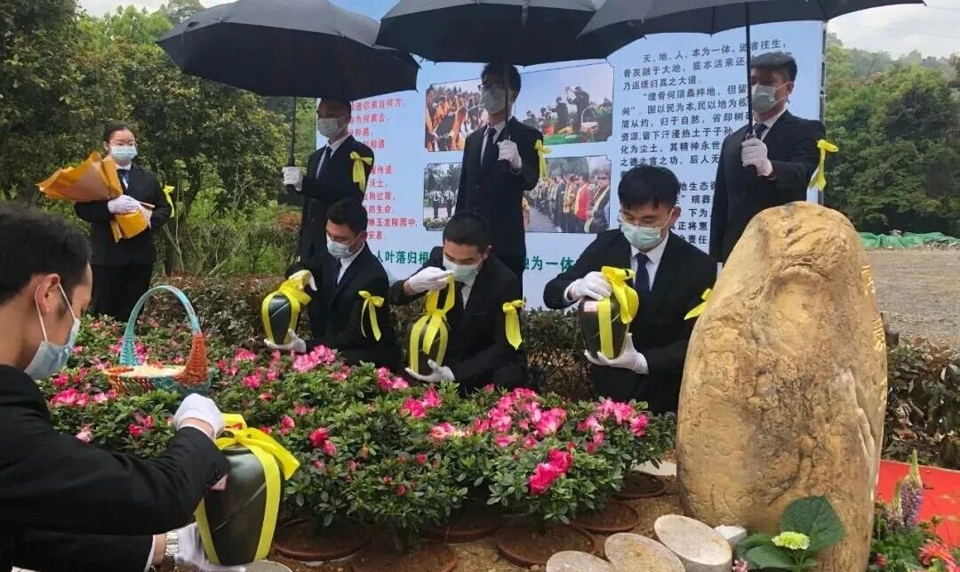 壹号娱乐 - NG大舞台,有梦你就来