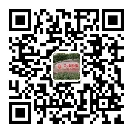 壹号娱乐 - NG大舞台,有梦你就来