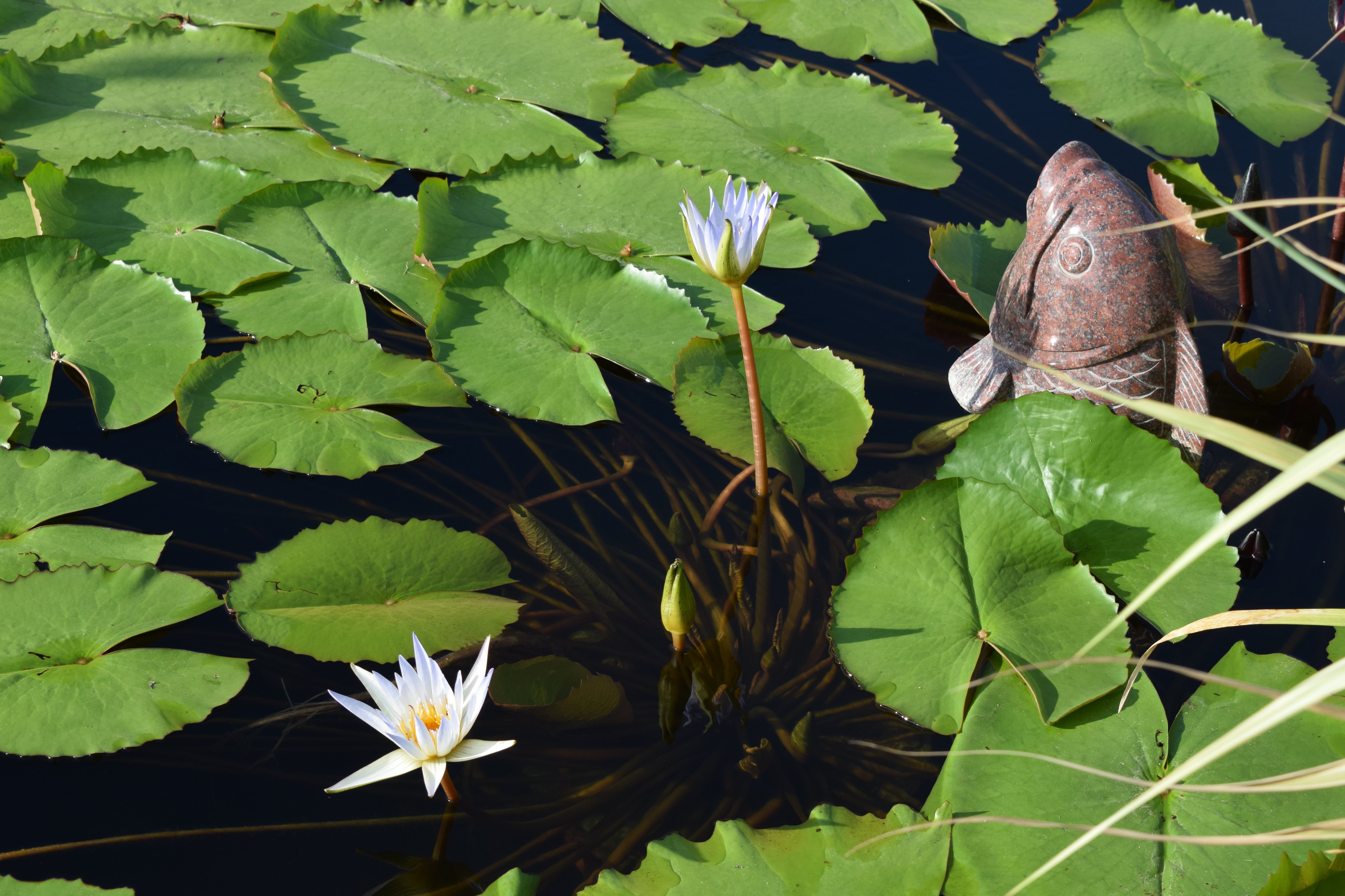 壹号娱乐 - NG大舞台,有梦你就来