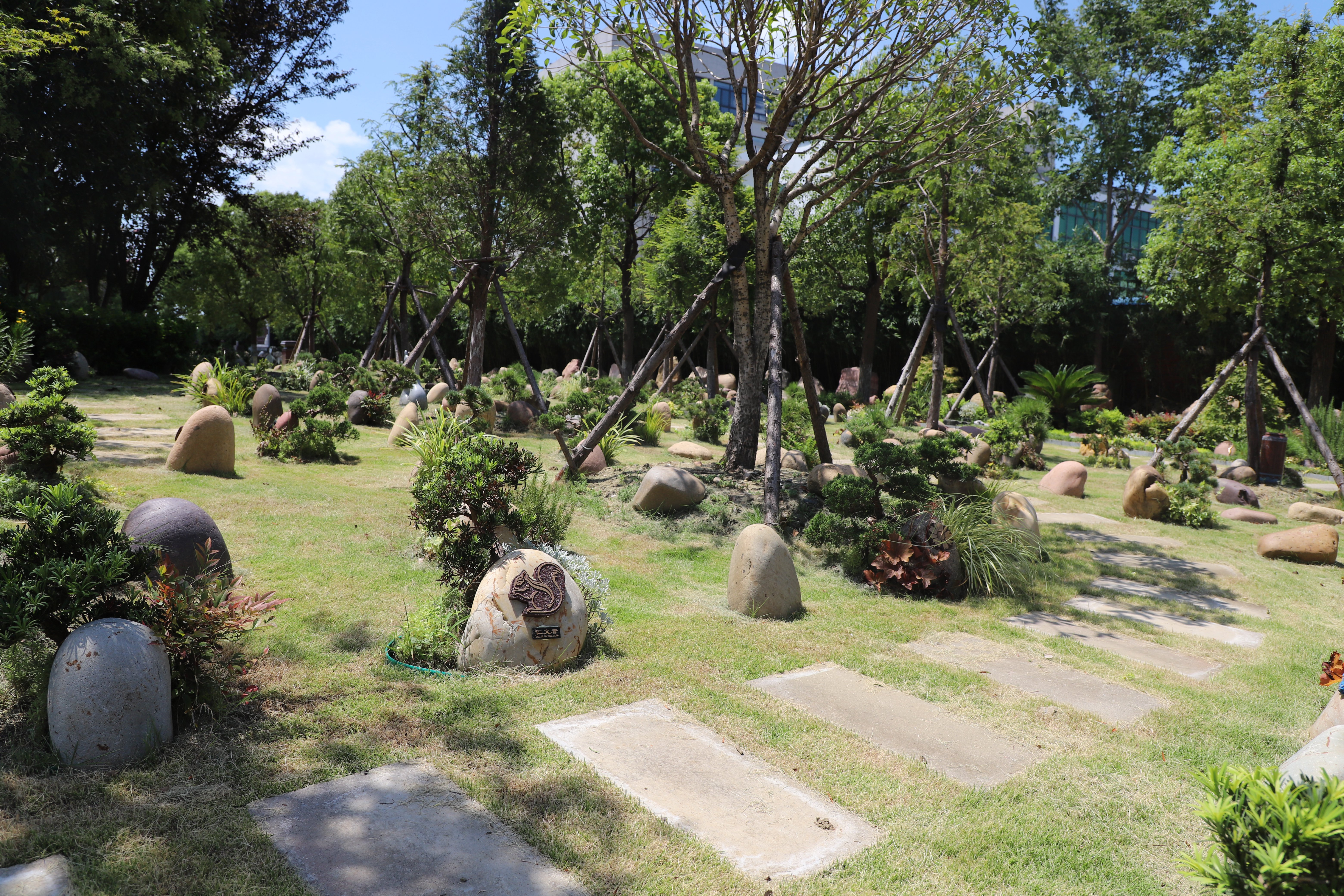 壹号娱乐 - NG大舞台,有梦你就来