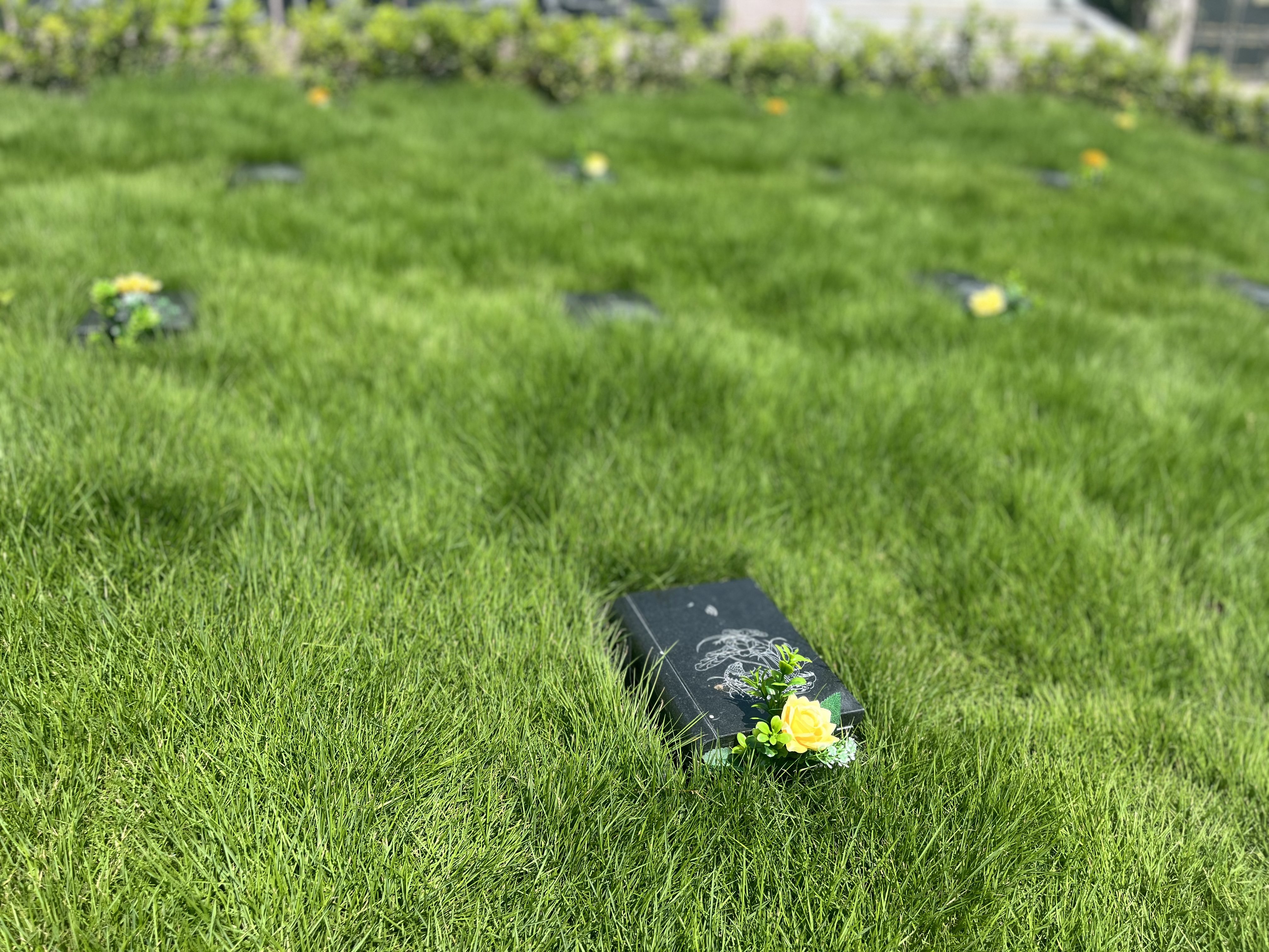 壹号娱乐 - NG大舞台,有梦你就来