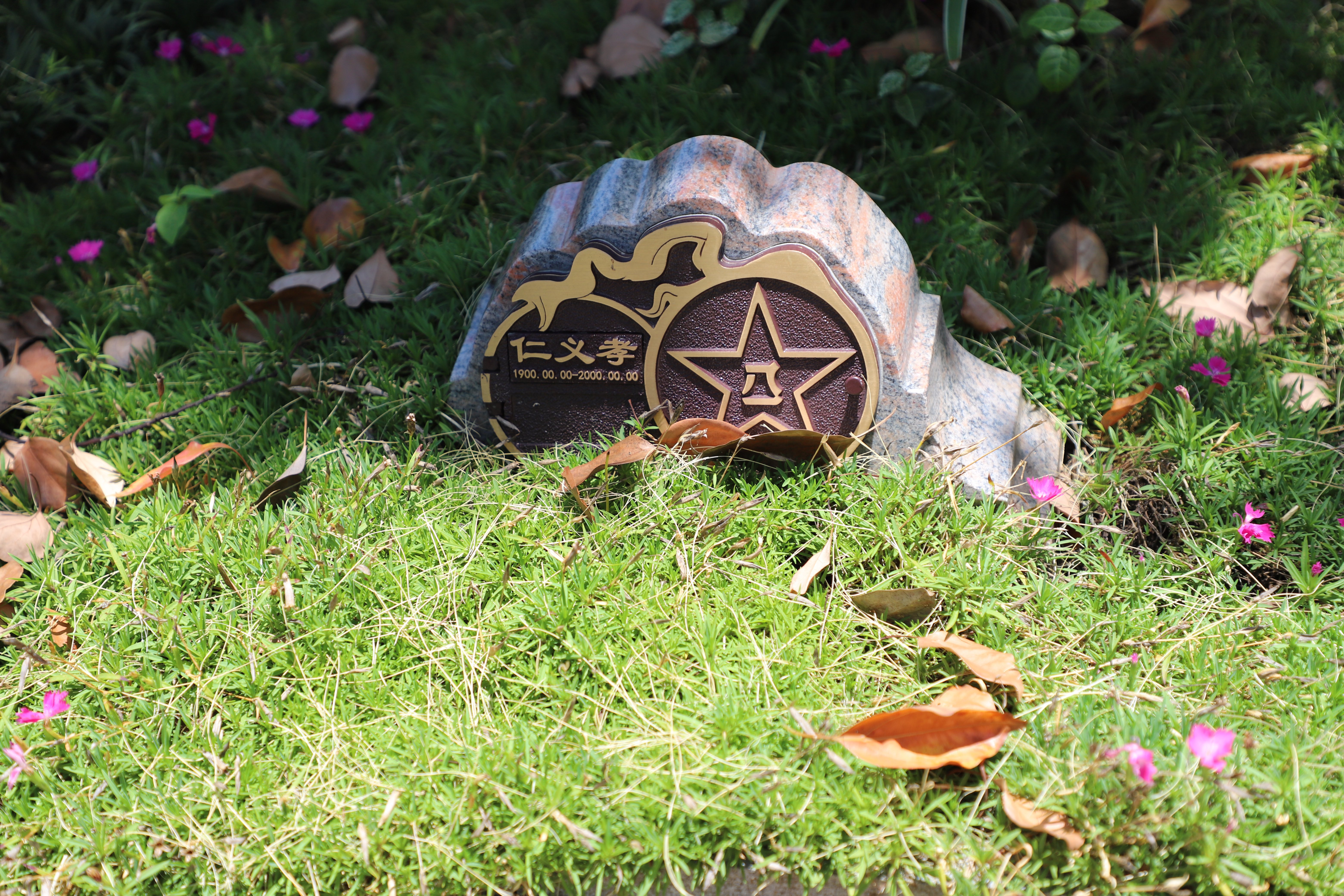 尘归尘，土归土：当性命终与天然相融