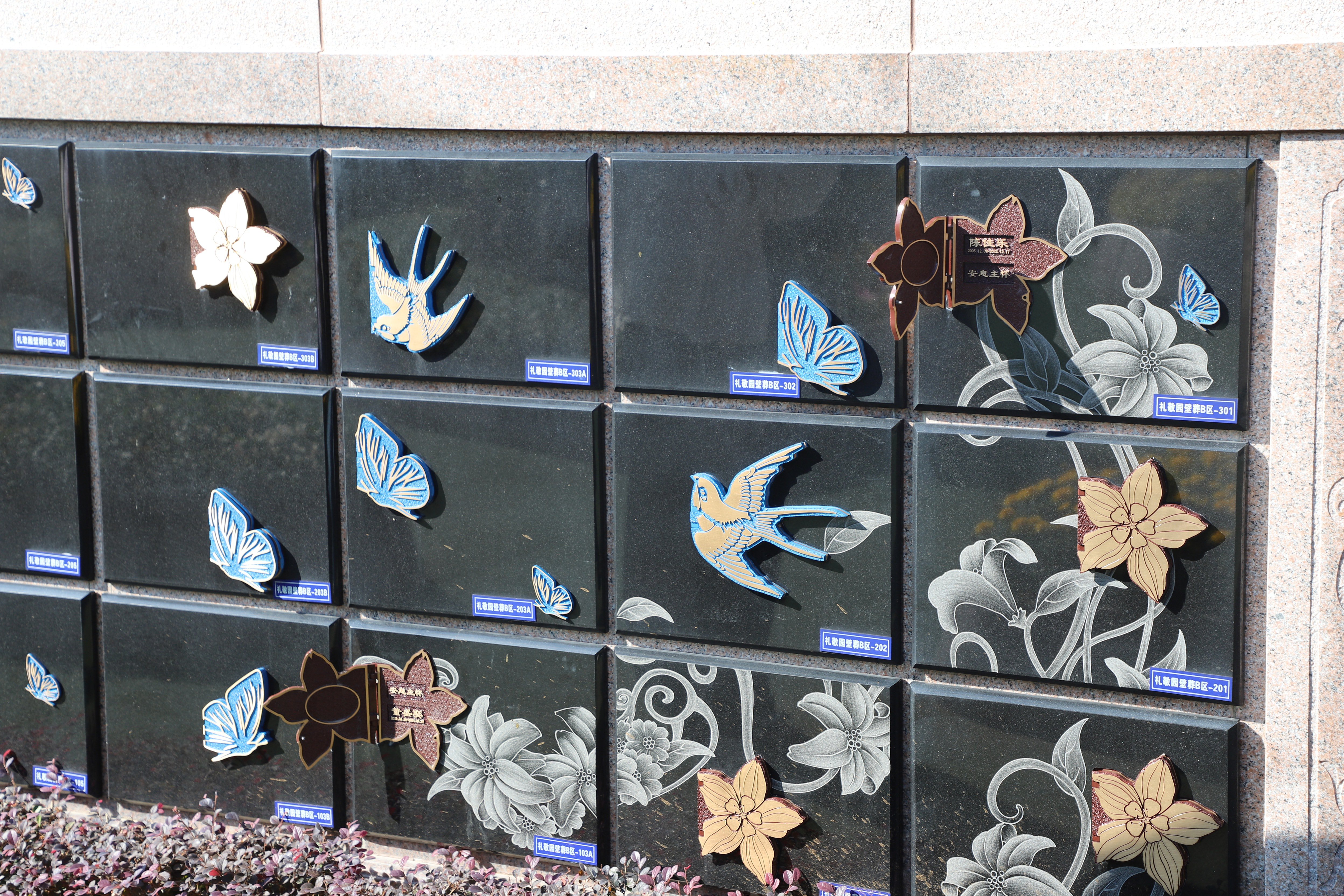 壹号娱乐 - NG大舞台,有梦你就来