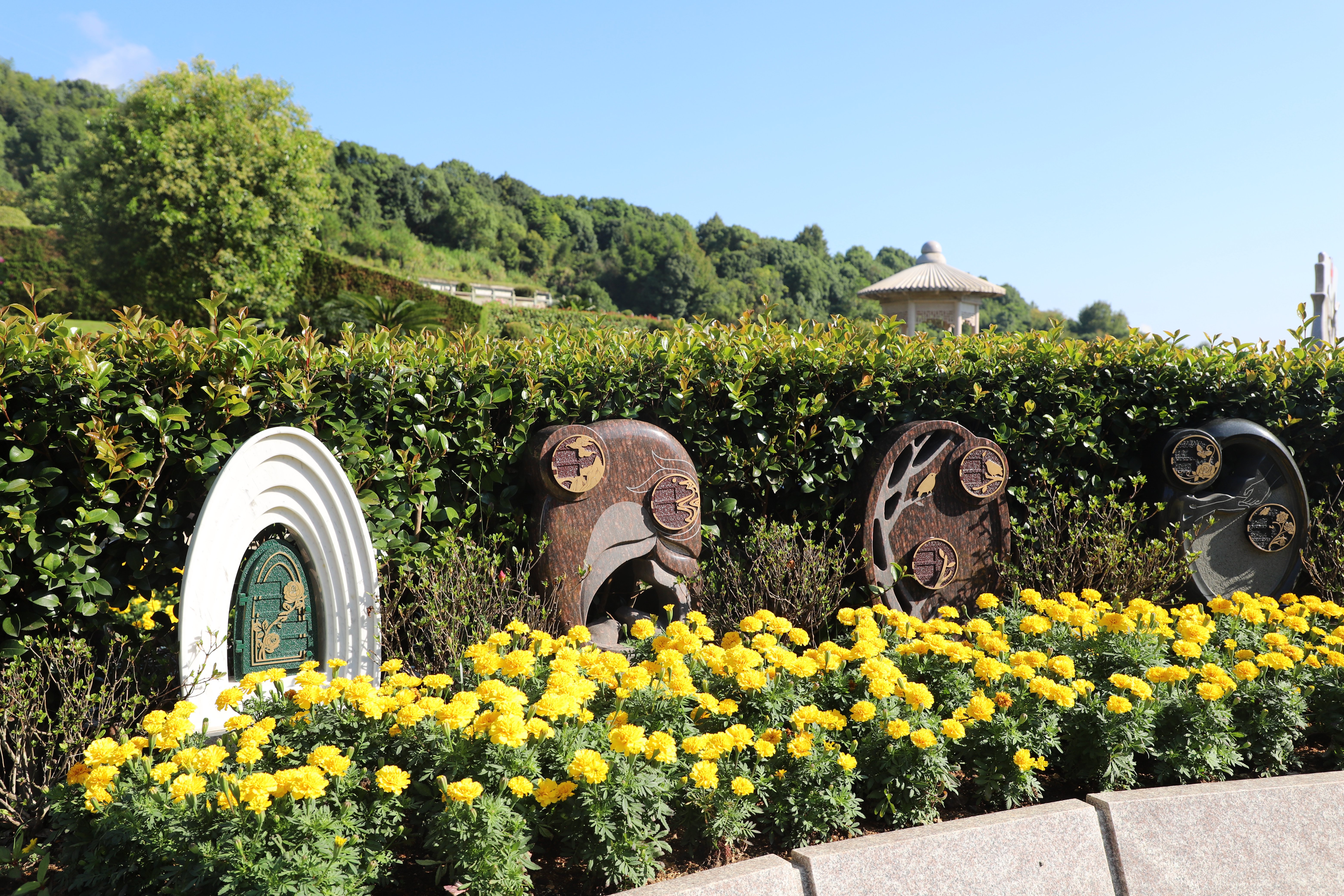 壹号娱乐 - NG大舞台,有梦你就来