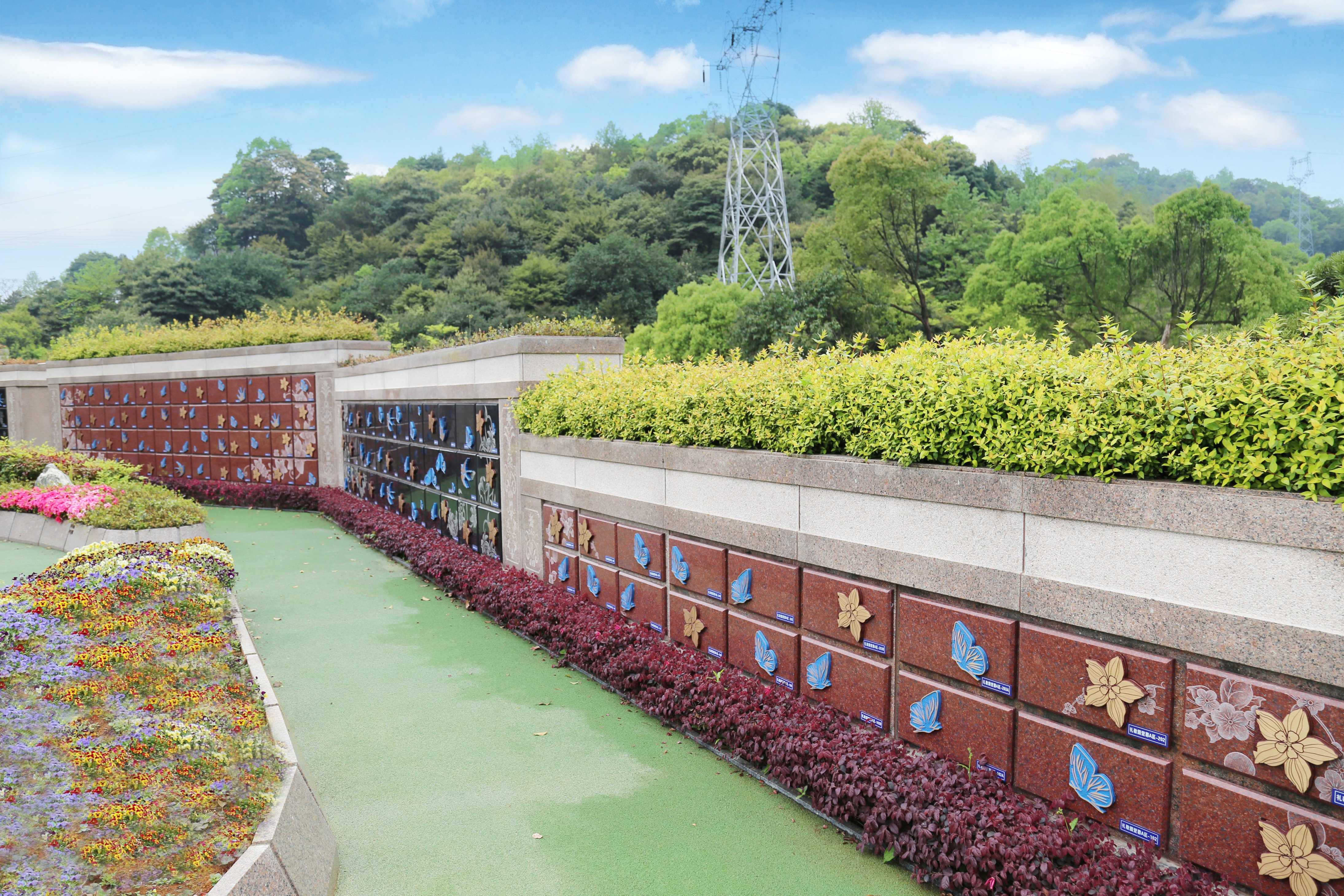 壹号娱乐 - NG大舞台,有梦你就来