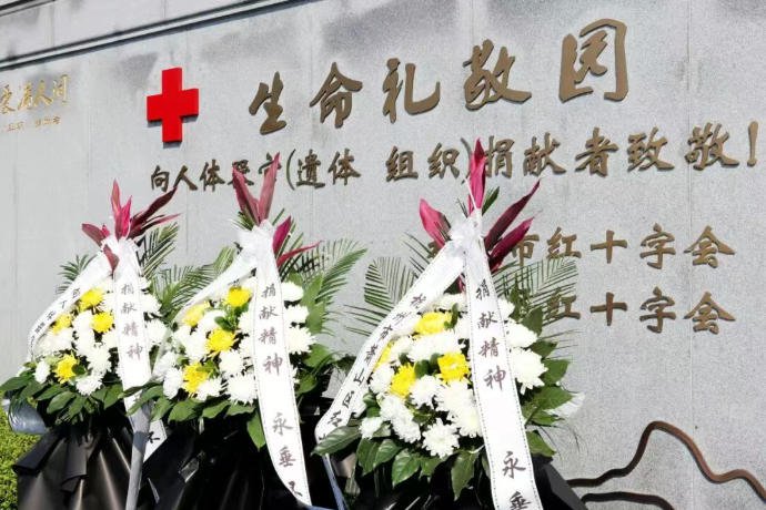 壹号娱乐 - NG大舞台,有梦你就来